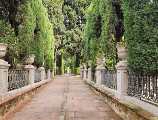 Jardines de Monforte – Valencia