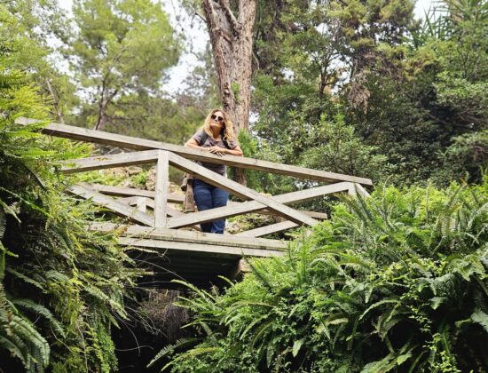 Jardines de Monforte – Valencia