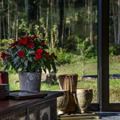 Duerme en Experiencia Mi Tesoro